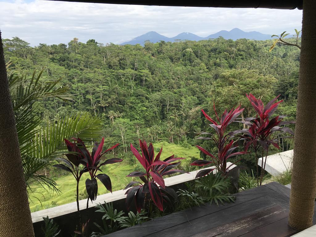 Ayuterra Resort Ubud Exterior foto